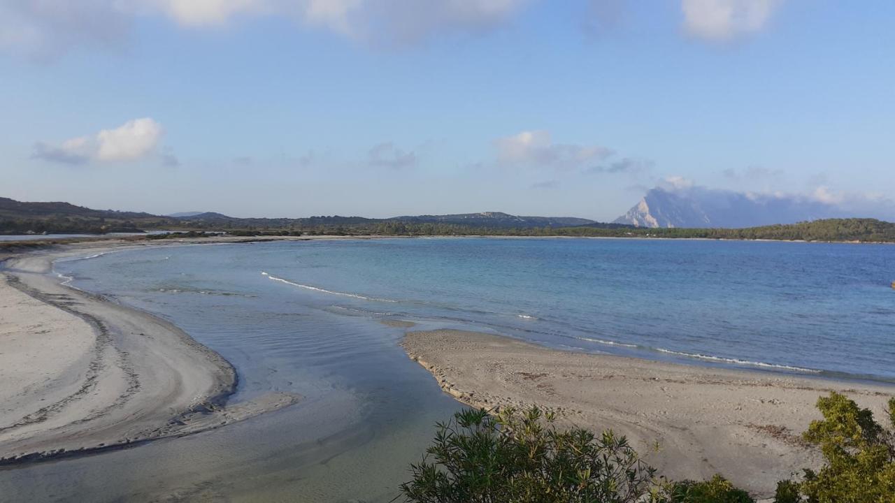 Li Muntigeddi Hotel San Teodoro  Luaran gambar