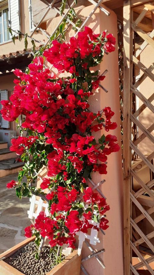 Li Muntigeddi Hotel San Teodoro  Luaran gambar