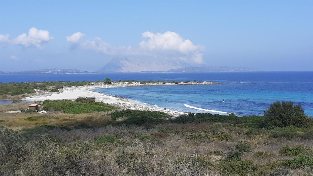 Li Muntigeddi Hotel San Teodoro  Luaran gambar