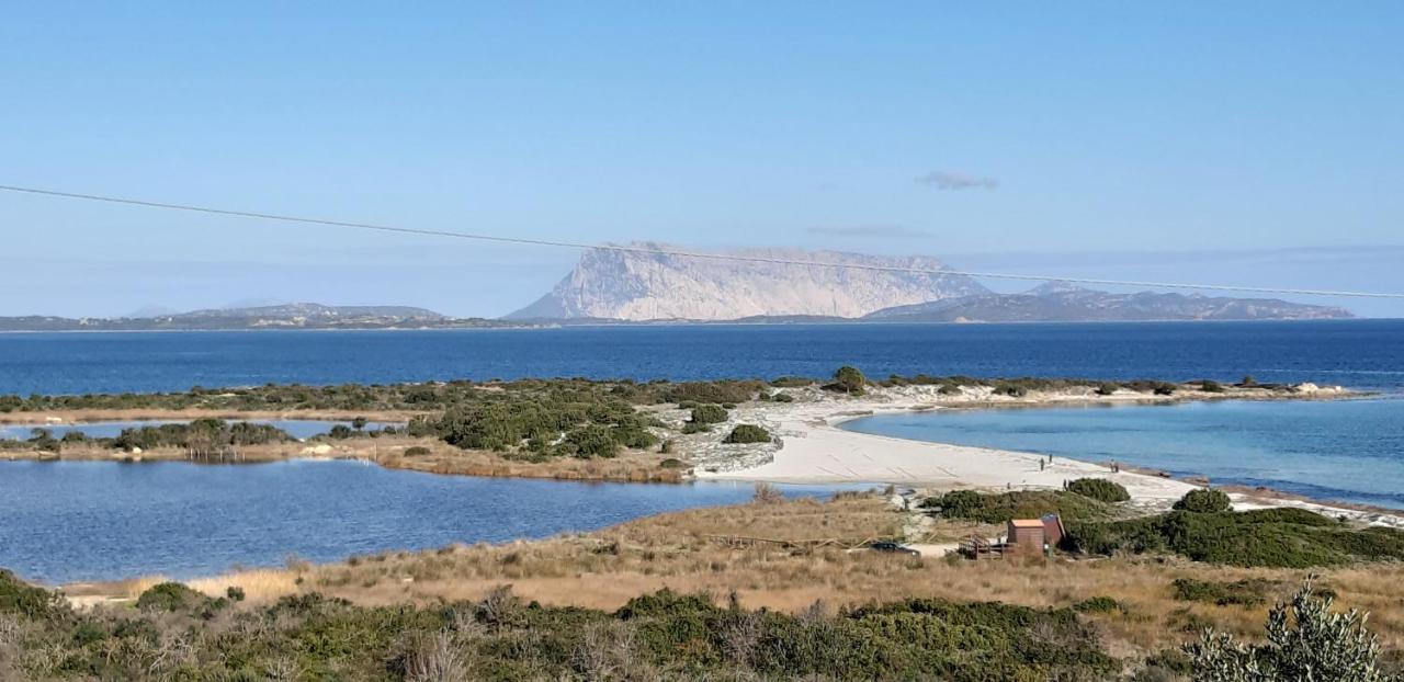 Li Muntigeddi Hotel San Teodoro  Luaran gambar