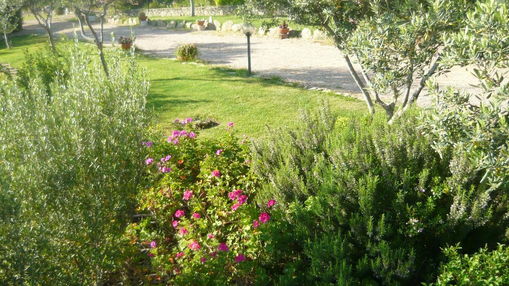 Li Muntigeddi Hotel San Teodoro  Luaran gambar
