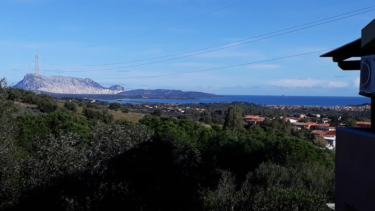 Li Muntigeddi Hotel San Teodoro  Luaran gambar