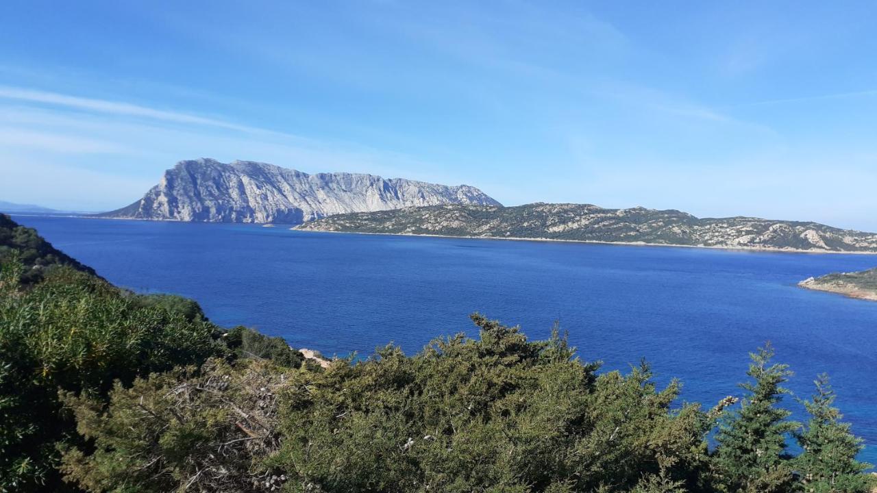 Li Muntigeddi Hotel San Teodoro  Luaran gambar
